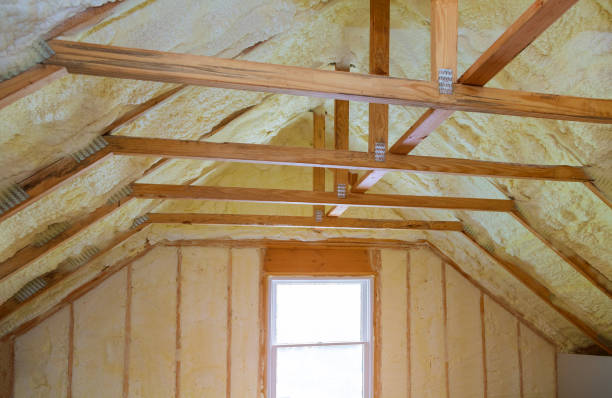 Best Cellulose Insulation in Colwich, KS